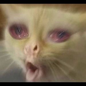 Meet your Posher, Javier